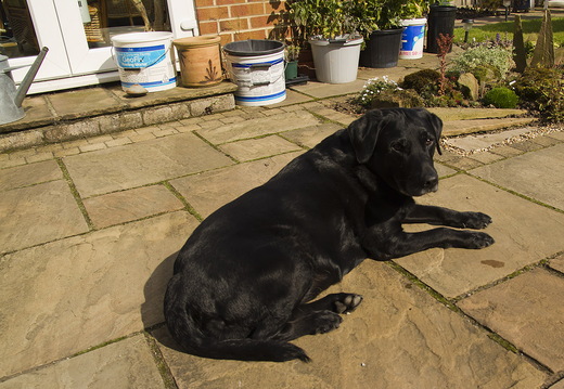 Miscellaneous Photos